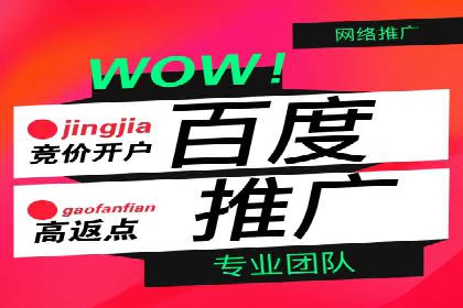 行业首例：SEM竞价优化案例的成效与启示